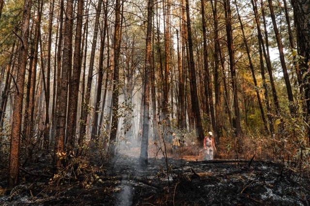 Informa SDS sobre trabajos de sofocaci&oacute;n de incendio forestal en Tlalnepantla