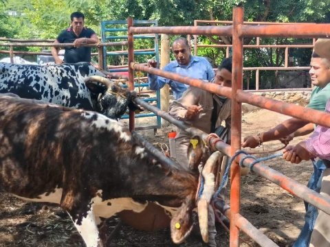 Establecen cerco sanitario en colonia de Yautepec para contener caso de rabia