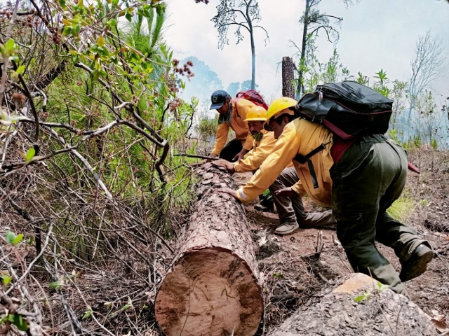 Casi controlado, incendio forestal en Santa María 