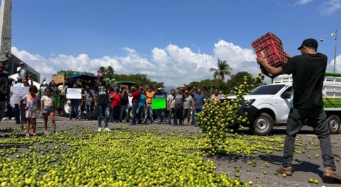 Productores de lim&oacute;n protestan por bajos precios en Apatzing&aacute;n
