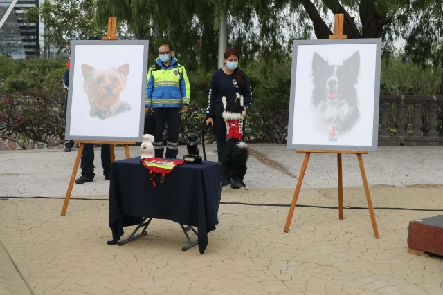 Rinden homenaje a Athos y Tango, los perritos rescatistas