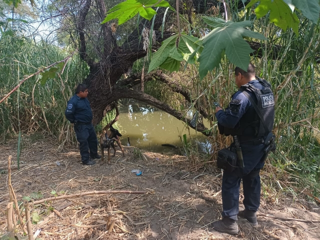 Con ayuda de binomios caninos y drones, continúa CES búsqueda de dos menores de edad extraviados en Yautepec