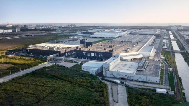Musk pausa planta de Tesla en México hasta elecciones en Estados Unidos