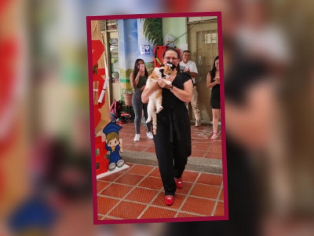 Historia viral: Gatito adoptado en aula es celebrado con diploma escolar