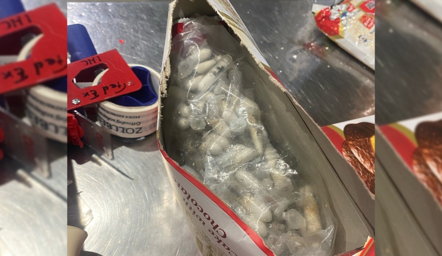 Incautan en Alemania más de mil tarántulas ocultas en cajas de chocolate