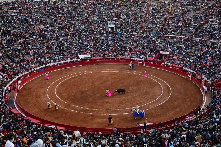 Iniciativa de corridas de toros sin violencia avanza en comisión del Congreso CDMX