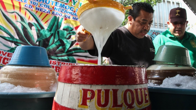 Feria del pulque 2023: Un viaje de sabores y tradición mexicana