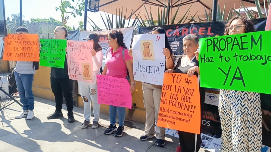 Manifestantes expusieron la problemática a la gobernadora Margarita González durante un evento desarrollado ayer en el primer cuadro de Cuernavaca. 