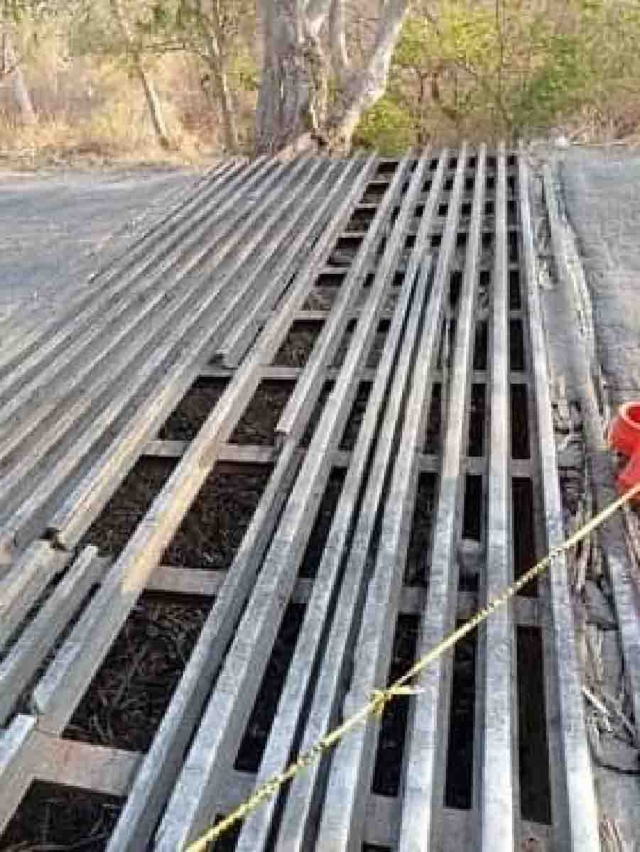 El guardaganado del tramo carretero registra daños.