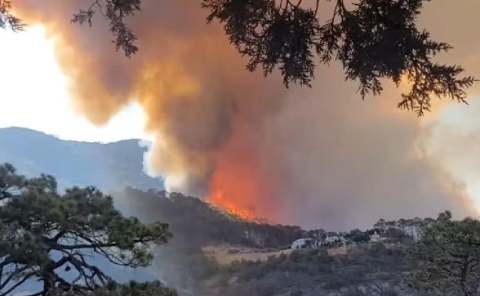 Más de mil incendios afectan a tres estados de México