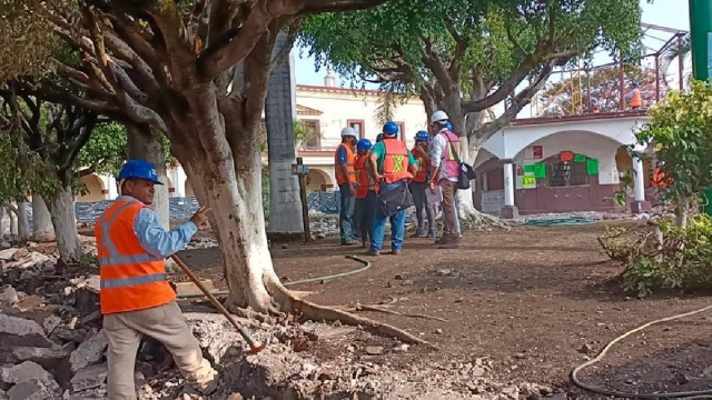 Ciudadanos exigen que los árboles sean conservados en el proyecto de remodelación.