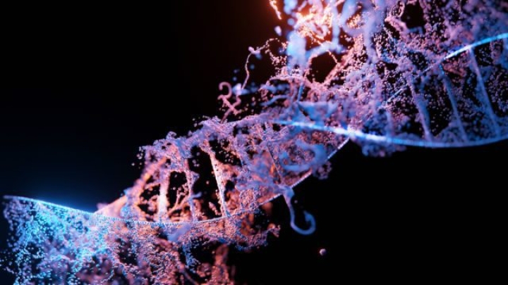 Científicos chinos secuencian genoma de un humano de hace 14,000 años