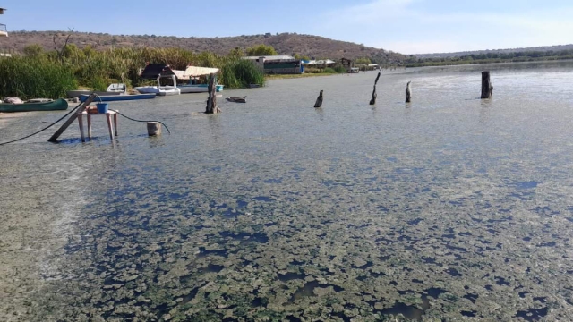 Pescadores del municipio han asegurado que algunos palaperos invaden zona federal para extender su negocio.