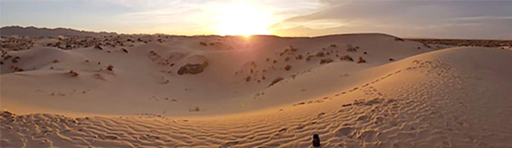 Barnices del desierto mexicano pueden ser análogos para búsqueda de vida en Marte