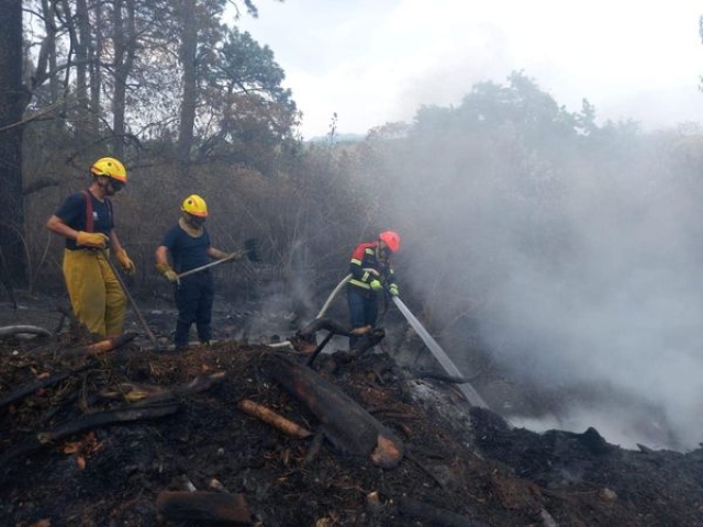 80% de control y 70% de liquidación en incendio forestal de paraje &#039;El Capote&#039;