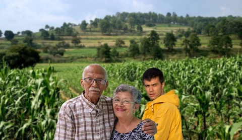 ENVEJECIMIENTO DE PRODUCTORES
