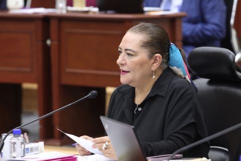 INE señala al Senado por errores en listas de candidatos para elección judicial