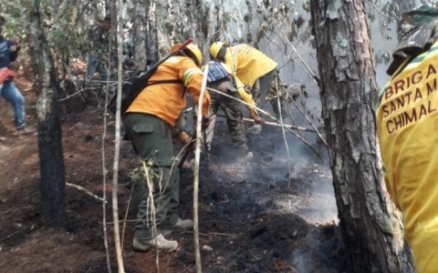 11 incendios forestales siguen activos en Oaxaca