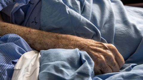 Autoridades reportan segunda muerte por rabia en humanos en Colima