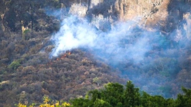 Suman 33 incendios forestales activos en México: CNPC