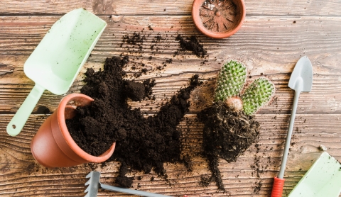 Truco casero para reutilizar la tierra vieja de macetas y darle nueva vida
