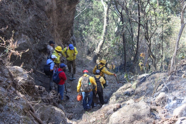 35% de control del incendio forestal en cerro del &#039;Tlatoani&#039;, en Tlayacapan