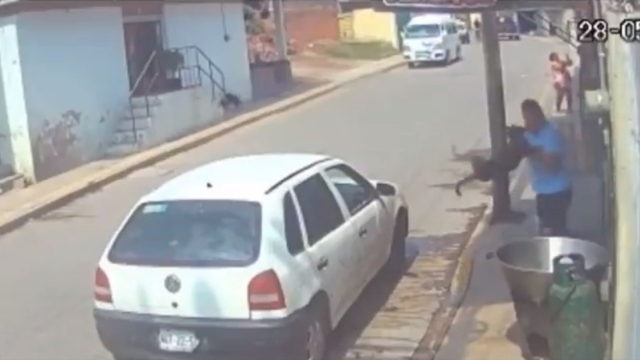 Detienen a hombre que lanzó perrito a cazo con aceite hirviendo