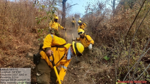Brigadistas trabajan en contención de incendio en Tepoztlán: Mando Unificado