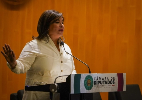 Regresar dictamen a la Sección Instructora por graves irregularidades en el proceso, exige Salgado Ponce