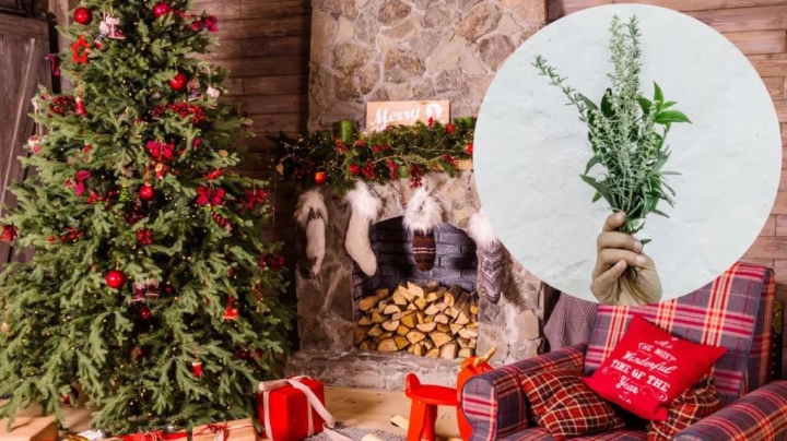 Hierbas aromáticas que huelen a Navidad y puedes cultivar en casa