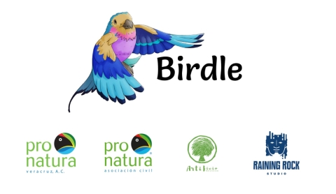 Birdle México: el juego en línea que enseña sobre las aves del país y promueve su conservación