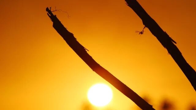 Primeros días de junio alcanzaron temperaturas globales jamás registradas