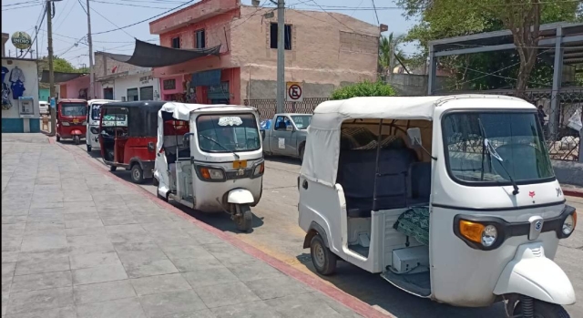 Aunque dan un servicio importante, también se han convertido en un problema.