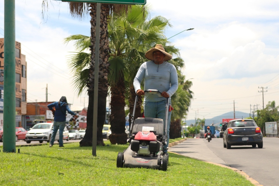 Continúan trabajos de embellecimiento y recuperación de espacios públicos en Jiutepec