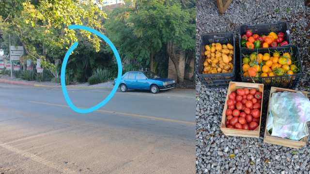 Venden fruta contaminada en Avenida San Diego