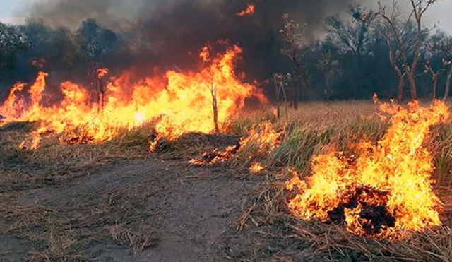 Hasta tres incendios de pastizales al día se registran en Puente de Ixtla