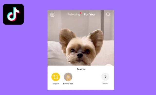TikTok prepara un botón similar al de retweet de Twitter