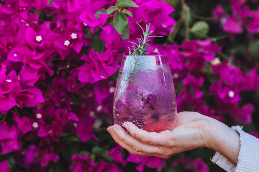 Refresco de Bugambilia: Una bebida natural llena de propiedades medicinales para reforzar tus defensas