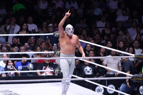 Dralístico, Santo Jr. e Hijo de L.A. Park hicieron gala de sus mejores lances y llaves. 