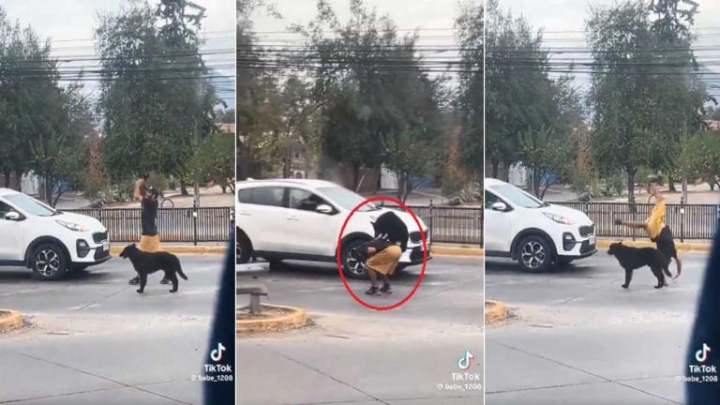 Increíble dúo: Perrito y su dueño sorprenden con acrobacias en semáforo