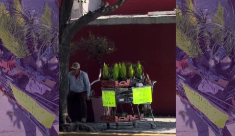 Hombre ofrece sus plantas a cambio de comida y se vuelve viral por su ejemplo de dignidad