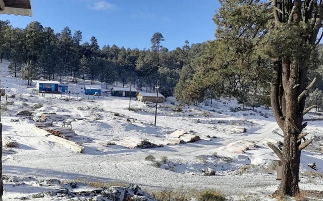 ¡Alerta! Se aproximan 2 frentes fríos esta semana