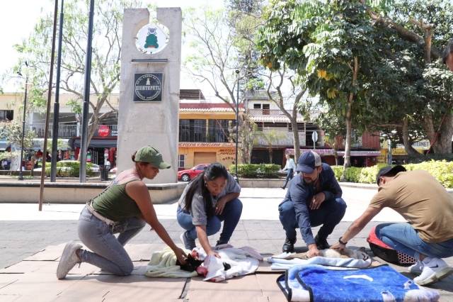 Se cuida la salud de los animales de compañía: Gobierno de Jiutepec