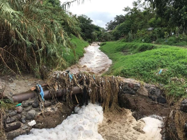 Continúan los trabajos de limpieza y desazolve de los cauces y del río Cuautla.