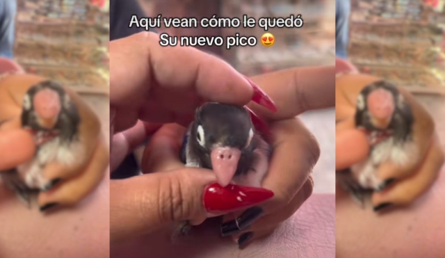 Captura de pantalla