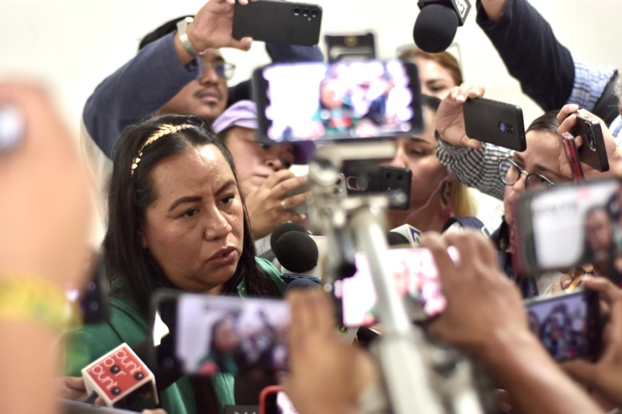 Diputada Jazmín Solano