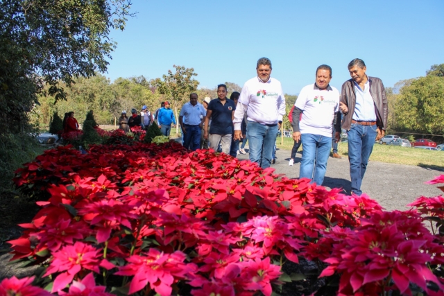 Inaugura José Luis Galindo &#039;Festival de la Flor de Cuetlaxochitl de El Texcal&#039;