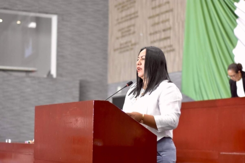 Acumula Congreso solicitudes de jubilación