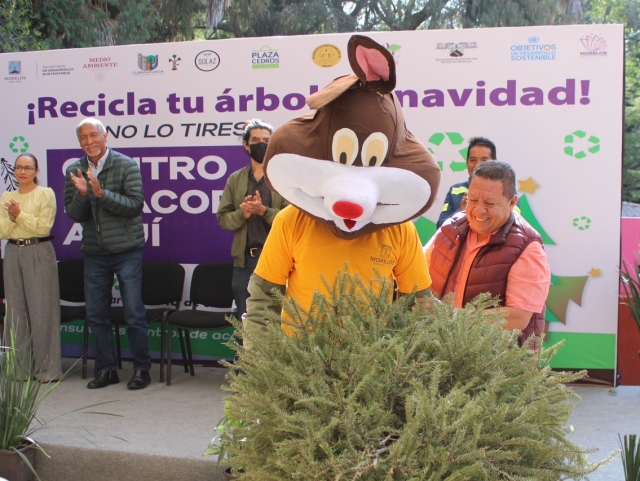 Arranca campaña de acopio de árboles de navidad 2023