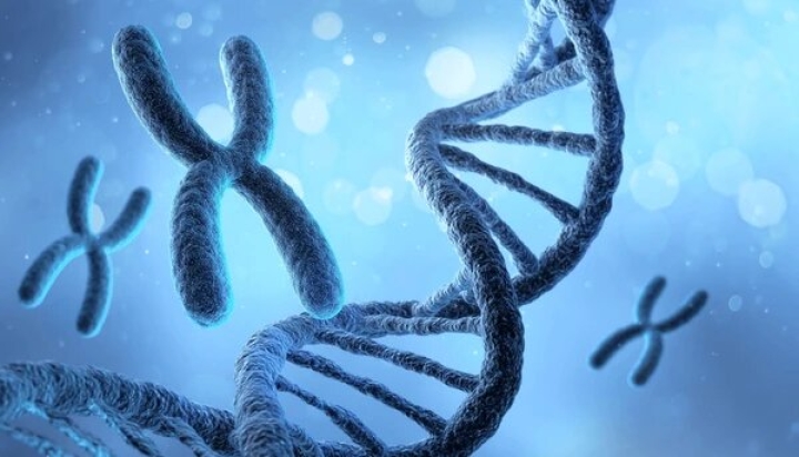 Científicos logran crear cromosomas humanos artificiales